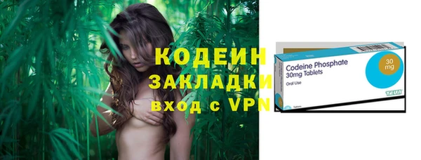 ГАЛЛЮЦИНОГЕННЫЕ ГРИБЫ Арсеньев