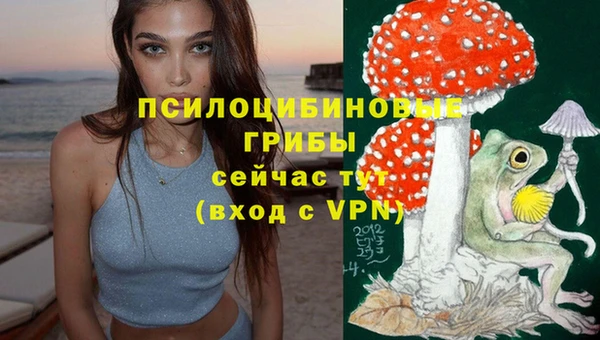 ГАЛЛЮЦИНОГЕННЫЕ ГРИБЫ Арсеньев