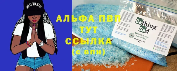 спиды Аркадак