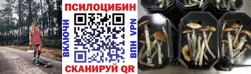 Галлюциногенные грибы Cubensis  Бронницы 
